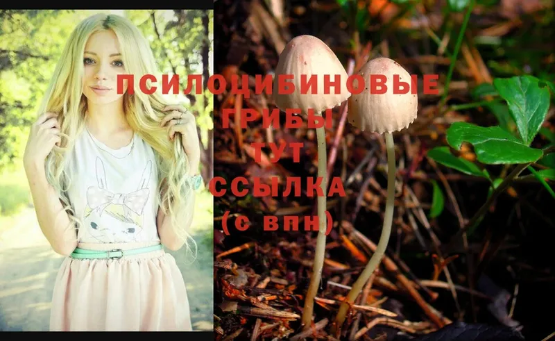 Галлюциногенные грибы Magic Shrooms  Лебедянь 